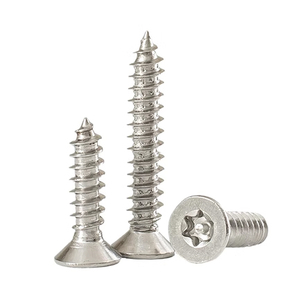Stainless Steel License Plate Anti Theft Screws